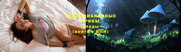 бутират Костерёво