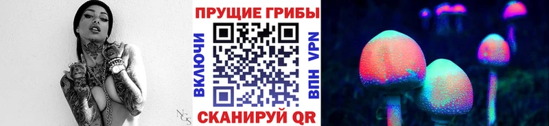 Псилоцибиновые грибы Magic Shrooms  Салаир 